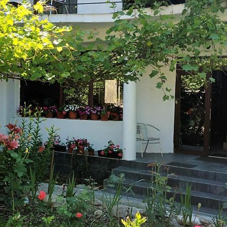 Pensiunea Vila Geany Srl Băile Herculane المظهر الخارجي الصورة